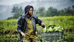 AgroPublic | Δίπλα στον αγρότη, καθημερινά αγροτικά νέα, γεωπονικές δημοσιεύσεις | agrotes neoi