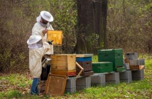 AgroPublic | Δίπλα στον αγρότη, καθημερινά αγροτικά νέα, γεωπονικές δημοσιεύσεις | beekeepe