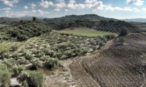 AgroPublic | Δίπλα στον αγρότη, καθημερινά αγροτικά νέα, γεωπονικές δημοσιεύσεις | dasikoi xartes iefimerida
