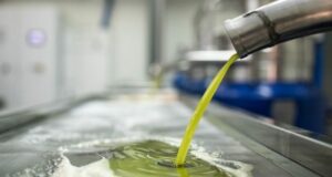 AgroPublic | Δίπλα στον αγρότη, καθημερινά αγροτικά νέα, γεωπονικές δημοσιεύσεις | elaiolado 750x400 1
