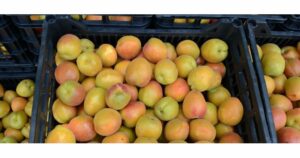 AgroPublic | Δίπλα στον αγρότη, καθημερινά αγροτικά νέα, γεωπονικές δημοσιεύσεις | i jj2zcgn o