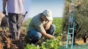 AgroPublic | Δίπλα στον αγρότη, καθημερινά αγροτικά νέα, γεωπονικές δημοσιεύσεις | neoi agrotes 696x392 696x392 1