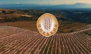 AgroPublic | Δίπλα στον αγρότη, καθημερινά αγροτικά νέα, γεωπονικές δημοσιεύσεις | opekepe diadikasies 600 1