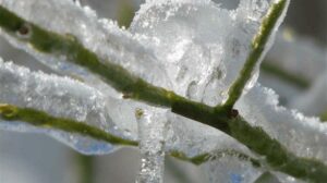AgroPublic | Δίπλα στον αγρότη, καθημερινά αγροτικά νέα, γεωπονικές δημοσιεύσεις | pagetos