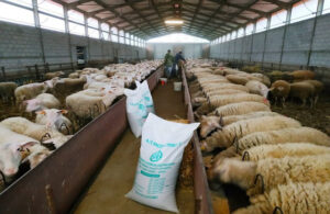 AgroPublic | Δίπλα στον αγρότη, καθημερινά αγροτικά νέα, γεωπονικές δημοσιεύσεις | probata