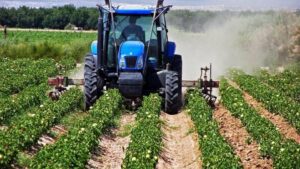 AgroPublic | Δίπλα στον αγρότη, καθημερινά αγροτικά νέα, γεωπονικές δημοσιεύσεις | 3634729