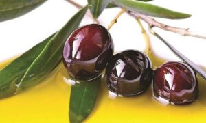 AgroPublic | Δίπλα στον αγρότη, καθημερινά αγροτικά νέα, γεωπονικές δημοσιεύσεις | elia kalamatas