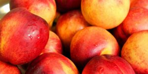 AgroPublic | Δίπλα στον αγρότη, καθημερινά αγροτικά νέα, γεωπονικές δημοσιεύσεις | nektarini poia diatrofiki aksia