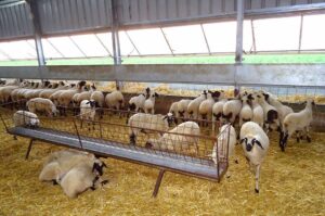 AgroPublic | Δίπλα στον αγρότη, καθημερινά αγροτικά νέα, γεωπονικές δημοσιεύσεις | stavlos provata