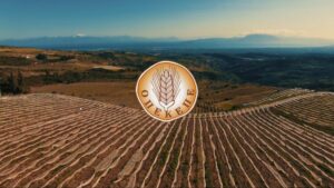 AgroPublic | Δίπλα στον αγρότη, καθημερινά αγροτικά νέα, γεωπονικές δημοσιεύσεις | tvc opekepe cover 696x391 1