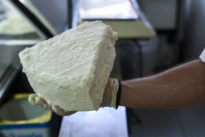 AgroPublic | Δίπλα στον αγρότη, καθημερινά αγροτικά νέα, γεωπονικές δημοσιεύσεις | feta eurokinissi