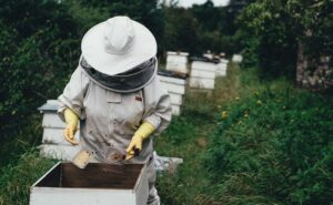 AgroPublic | Δίπλα στον αγρότη, καθημερινά αγροτικά νέα, γεωπονικές δημοσιεύσεις | melissokomos