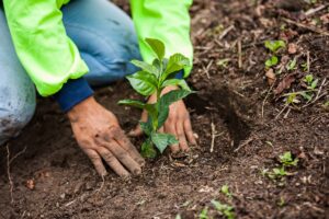 AgroPublic | Δίπλα στον αγρότη, καθημερινά αγροτικά νέα, γεωπονικές δημοσιεύσεις | Photo