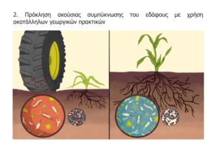 AgroPublic | Δίπλα στον αγρότη, καθημερινά αγροτικά νέα, γεωπονικές δημοσιεύσεις | image 3