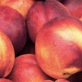 | fruits stone fruits title