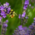 | jenna lee f0OL01IHbCM unsplash 1024x674 1