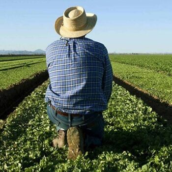 | AGROTHS