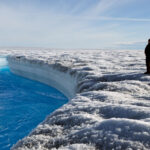 | greenland