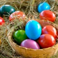 | eggs 7022048 960 720