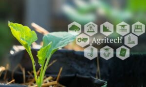 AgroPublic | Δίπλα στον αγρότη, καθημερινά αγροτικά νέα, γεωπονικές δημοσιεύσεις | agritech startups 1200x720 1