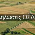 | diloseisosde 1068x656 1