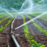 | Water Irrigation 620x330 2