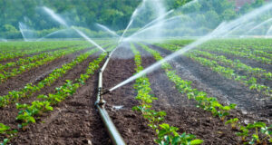 | Water Irrigation 620x330 2
