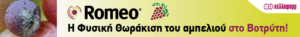 AgroPublic | Δίπλα στον αγρότη, καθημερινά αγροτικά νέα, γεωπονικές δημοσιεύσεις | image