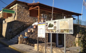 AgroPublic | Δίπλα στον αγρότη, καθημερινά αγροτικά νέα, γεωπονικές δημοσιεύσεις | 0DHMOSEYROTA