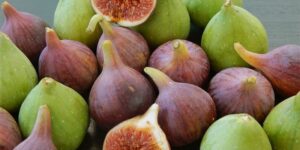 AgroPublic | Δίπλα στον αγρότη, καθημερινά αγροτικά νέα, γεωπονικές δημοσιεύσεις | poso kala gnwrizete syka