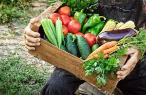 AgroPublic | Δίπλα στον αγρότη, καθημερινά αγροτικά νέα, γεωπονικές δημοσιεύσεις | 214833