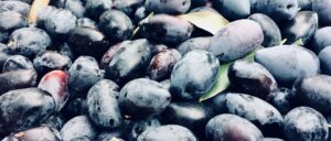 AgroPublic | Δίπλα στον αγρότη, καθημερινά αγροτικά νέα, γεωπονικές δημοσιεύσεις | elies kalamon