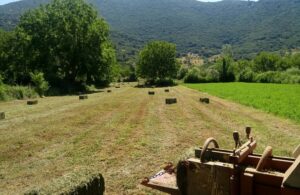 AgroPublic | Δίπλα στον αγρότη, καθημερινά αγροτικά νέα, γεωπονικές δημοσιεύσεις | ομαδεσ παραγωγων