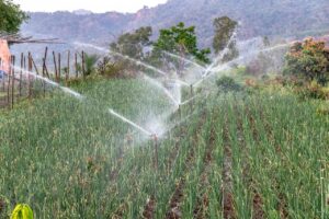 AgroPublic | Δίπλα στον αγρότη, καθημερινά αγροτικά νέα, γεωπονικές δημοσιεύσεις | σχεδια βελτιωσης 1