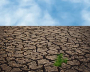 AgroPublic | Δίπλα στον αγρότη, καθημερινά αγροτικά νέα, γεωπονικές δημοσιεύσεις | eikona ypaat
