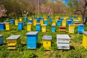 AgroPublic | Δίπλα στον αγρότη, καθημερινά αγροτικά νέα, γεωπονικές δημοσιεύσεις | μελισσα