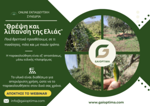 AgroPublic | Δίπλα στον αγρότη, καθημερινά αγροτικά νέα, γεωπονικές δημοσιεύσεις | Σεμινάριο Ελιάς 2 e1734452136341
