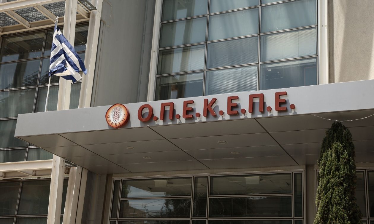 AgroPublic | Δίπλα στον αγρότη, καθημερινά αγροτικά νέα, γεωπονικές δημοσιεύσεις | 4d0e19eb opekepe
