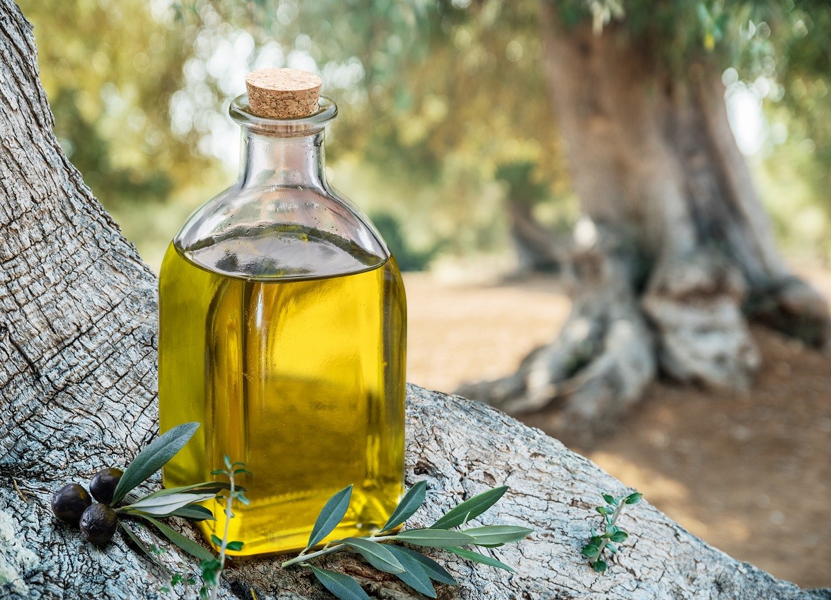 AgroPublic | Δίπλα στον αγρότη, καθημερινά αγροτικά νέα, γεωπονικές δημοσιεύσεις | elaiolado mikri 1