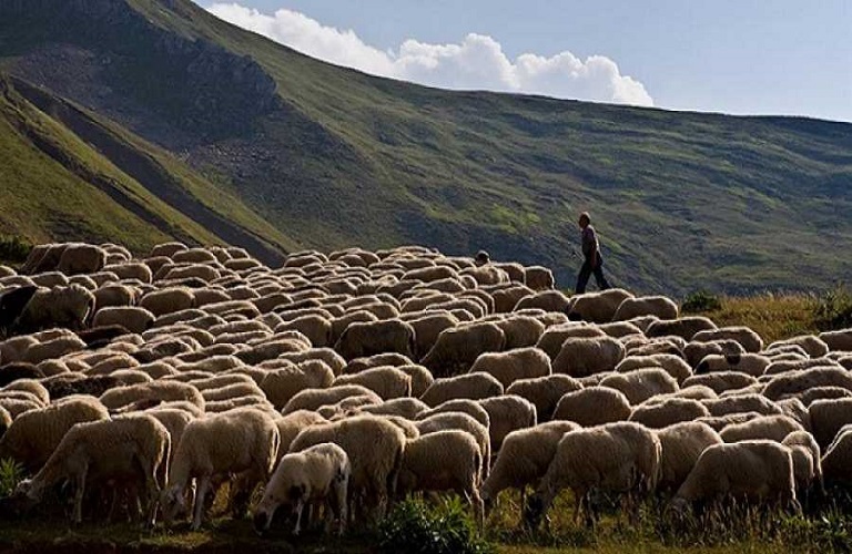 AgroPublic | Δίπλα στον αγρότη, καθημερινά αγροτικά νέα, γεωπονικές δημοσιεύσεις |