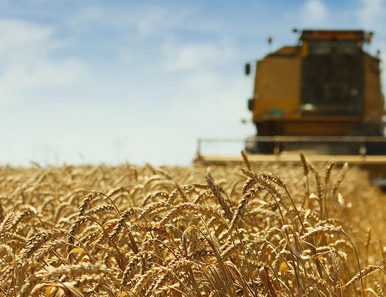 AgroPublic | Δίπλα στον αγρότη, καθημερινά αγροτικά νέα, γεωπονικές δημοσιεύσεις | σιταρι