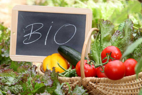 AgroPublic | Δίπλα στον αγρότη, καθημερινά αγροτικά νέα, γεωπονικές δημοσιεύσεις, κτηνοτροφία, ελαιοκομία, αμπελουργία | biologika