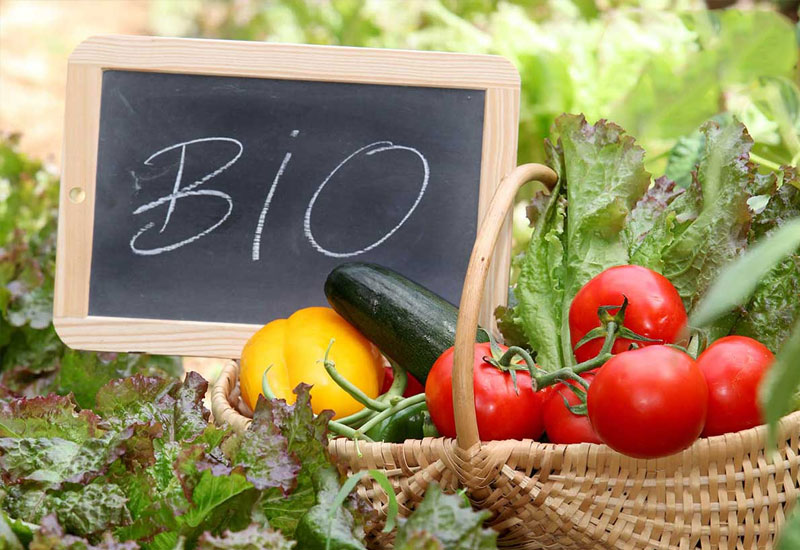 AgroPublic | Δίπλα στον αγρότη, καθημερινά αγροτικά νέα, γεωπονικές δημοσιεύσεις, κτηνοτροφία, ελαιοκομία, αμπελουργία | biologika