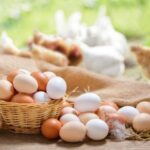 AgroPublic | Δίπλα στον αγρότη, καθημερινά αγροτικά νέα, γεωπονικές δημοσιεύσεις, κτηνοτροφία, ελαιοκομία, αμπελουργία | chicken eggs 696x415 1