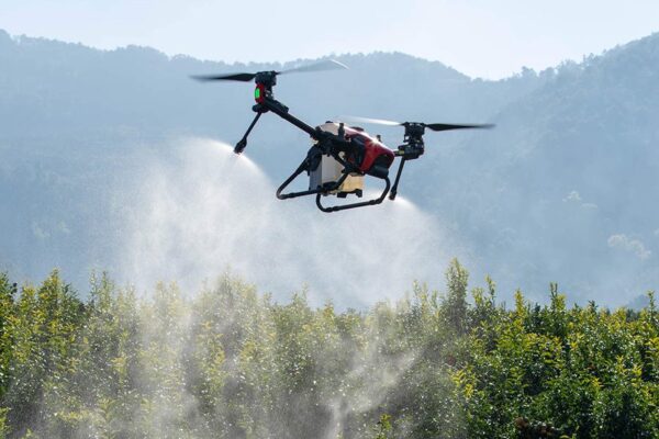 Drones και Ελιά: Νέα Εποχή για την Ελληνική Γεωργία