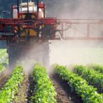 AgroPublic | Δίπλα στον αγρότη, καθημερινά αγροτικά νέα, γεωπονικές δημοσιεύσεις, κτηνοτροφία, ελαιοκομία, αμπελουργία | eggeiobeltiotika 1707