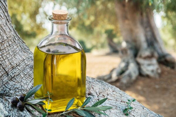 Ελαιόλαδο: Αυξάνεται η κινεζική παραγωγή, υποχωρούν οι ελληνικές εξαγωγές AgroPublic | Δίπλα στον αγρότη, καθημερινά αγροτικά νέα, γεωπονικές δημοσιεύσεις, κτηνοτροφία, ελαιοκομία, αμπελουργία | elaiolado mikri 1