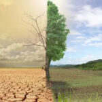 AgroPublic | Δίπλα στον αγρότη, καθημερινά αγροτικά νέα, γεωπονικές δημοσιεύσεις, κτηνοτροφία, ελαιοκομία, αμπελουργία | erimopoiisi2 ecogaia
