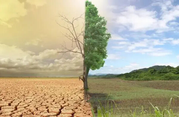 AgroPublic | Δίπλα στον αγρότη, καθημερινά αγροτικά νέα, γεωπονικές δημοσιεύσεις, κτηνοτροφία, ελαιοκομία, αμπελουργία | erimopoiisi2 ecogaia