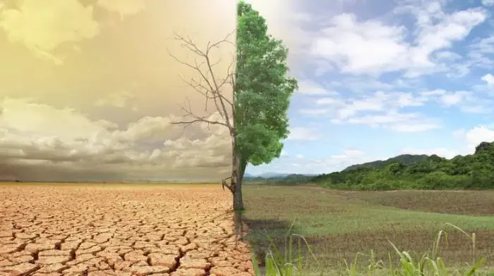 AgroPublic | Δίπλα στον αγρότη, καθημερινά αγροτικά νέα, γεωπονικές δημοσιεύσεις, κτηνοτροφία, ελαιοκομία, αμπελουργία | erimopoiisi2 ecogaia